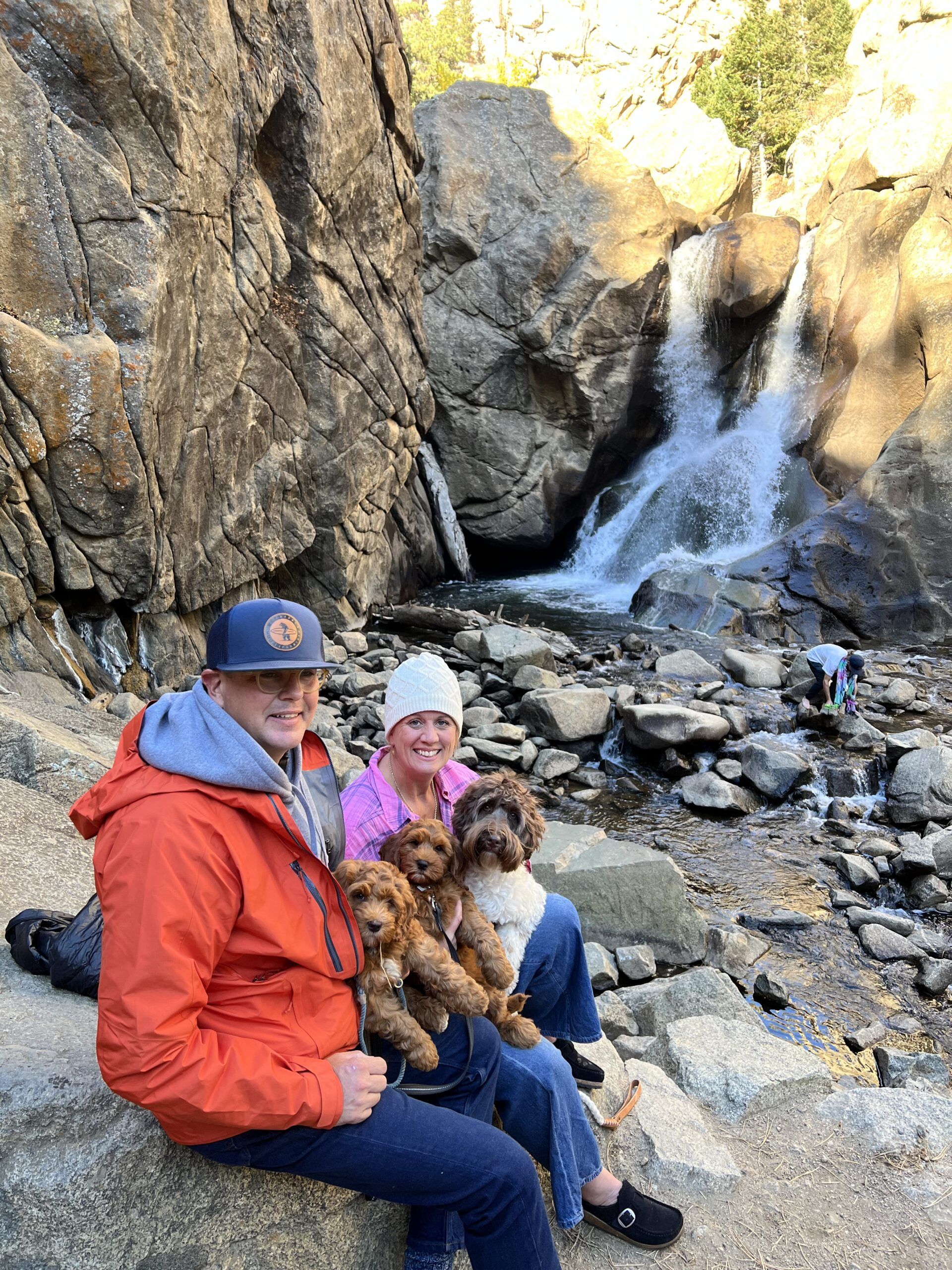 Travel with your dog