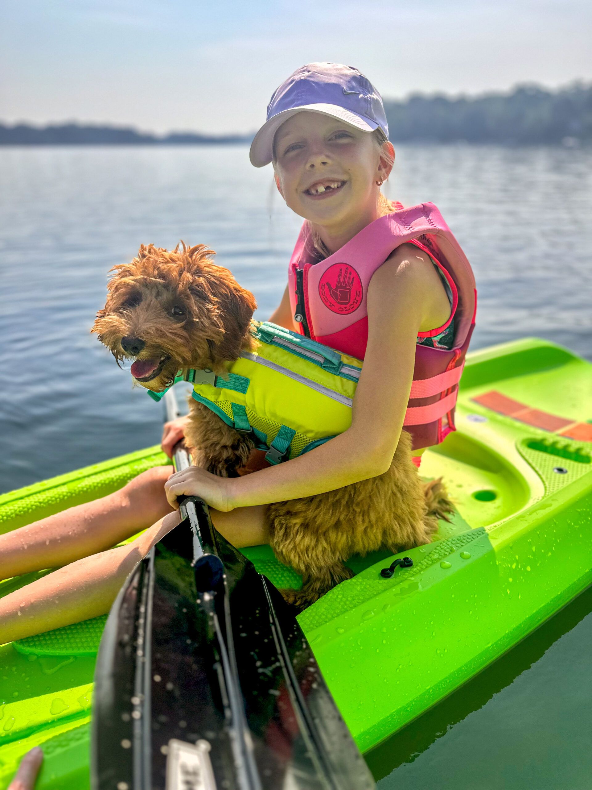 Australian Labradoodle Puppies 