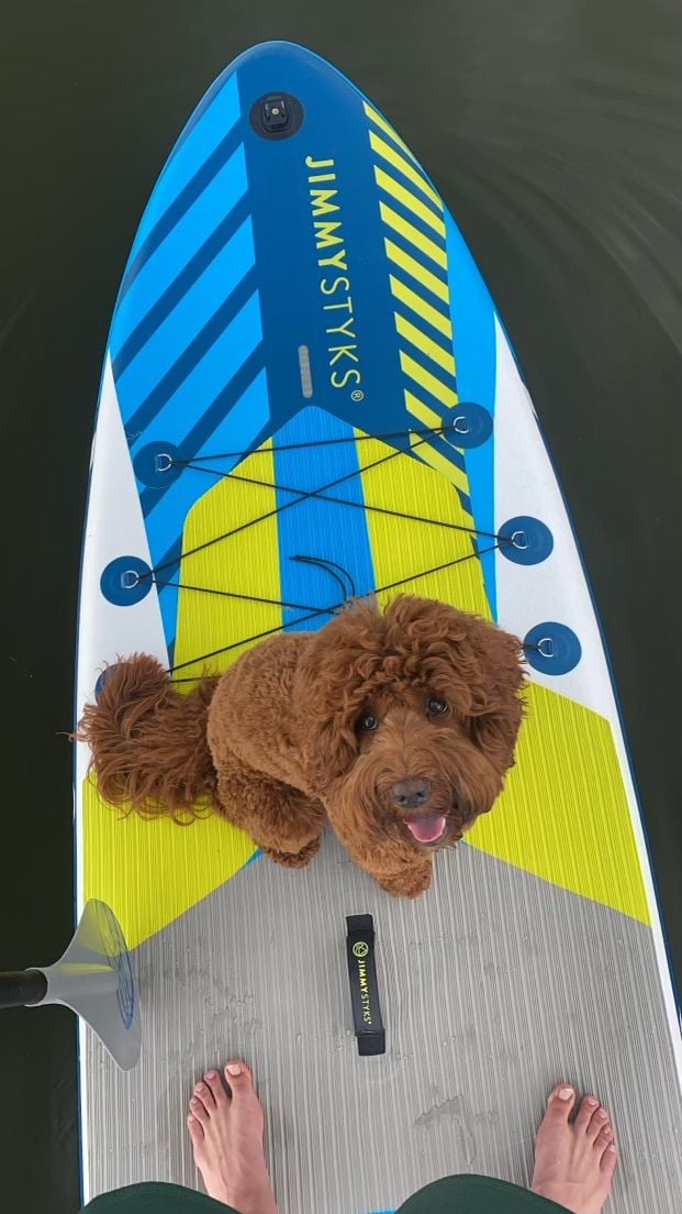 Best Life Labradoodles Stud