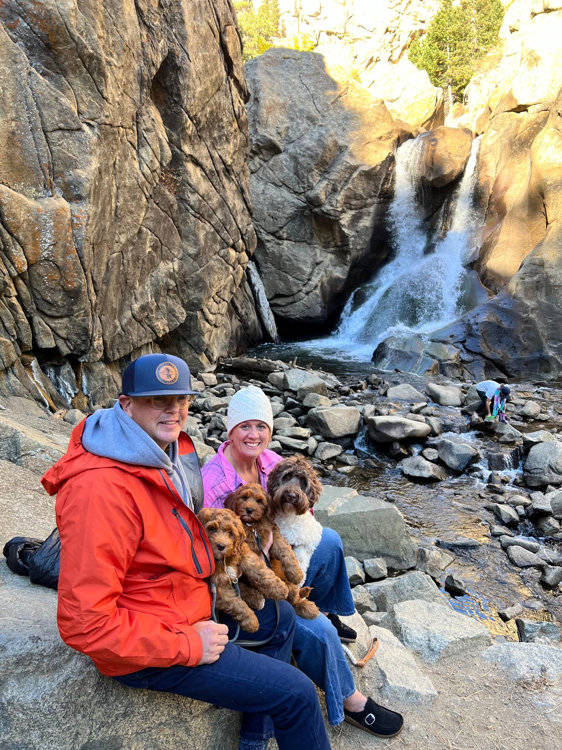 Travel with your dog
